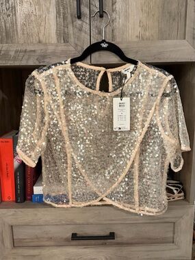 Sequin Mesh Crop Top in Light Pink by